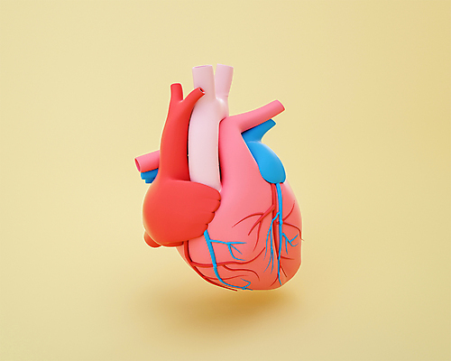 PSD 편집 편집이미지 분홍색 사람없음 노란색 3D소스 3D 모형 심장 장기 디지털합성 혈관 동맥 정맥 편집소스 편집3D 컬러 신체 장기_의학 파일형식