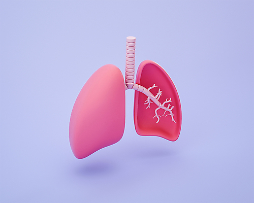 PSD 편집 편집이미지 분홍색 단면 사람없음 3D소스 3D 모형 보라색 허파 기관지 장기 디지털합성 편집소스 편집3D 컬러 신체 호흡기관 파일형식