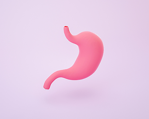 PSD 편집 편집이미지 분홍색 사람없음 3D소스 3D 모형 장기 디지털합성 위장질환 편집소스 편집3D 컬러 신체 질병 파일형식