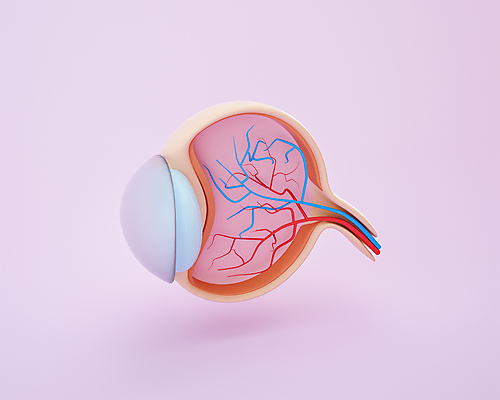PSD 편집 편집이미지 분홍색 사람없음 3D소스 3D 모형 장기 디지털합성 혈관 단면도 각막 시신경 안구해부도 안구 편집소스 편집3D 컬러 신체 해부 단면 신체부위 눈_신체부위 장기_의학 파일형식