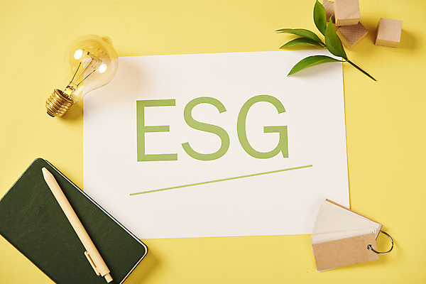 포토 JPG 스튜디오촬영 회사 비즈니스 전구 자연 나뭇잎 실내 사람없음 하이앵글 볼펜 다이어리 사무용품 메모지 사회 친환경 노란배경 나무블록 ESG 국내포토 뷰포인트 백그라운드 잎 문구용품 내부 목재 펜 노란색 환경 블록 생태계 경영 공동체 파일형식