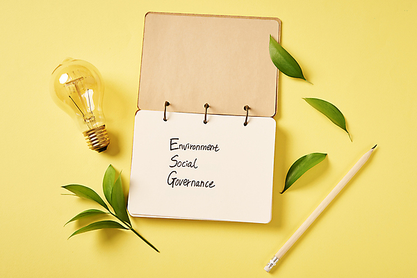 포토 JPG 스튜디오촬영 회사 비즈니스 전구 자연 나뭇잎 실내 사람없음 하이앵글 연필 펜 다이어리 사회 친환경 노란배경 ESG 국내포토 뷰포인트 백그라운드 잎 학용품 내부 필기구 노란색 환경 사무용품 생태계 경영 공동체 파일형식