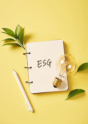 포토 JPG 스튜디오촬영 회사 비즈니스 전구 자연 나뭇잎 실내 사람없음 하이앵글 펜 다이어리 사회 친환경 노란배경 ESG 국내포토 뷰포인트 백그라운드 잎 내부 필기구 노란색 환경 사무용품 생태계 경영 공동체 파일형식