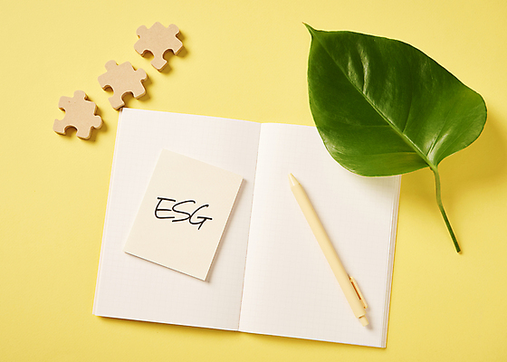 포토 JPG 스튜디오촬영 잎 회사 비즈니스 전구 자연 실내 사람없음 하이앵글 펜 다이어리 사회 포스트잇 친환경 퍼즐조각 노란배경 ESG 국내포토 식물 뷰포인트 조각 백그라운드 내부 필기구 노란색 환경 사무용품 메모지 퍼즐 생태계 경영 공동체 파일형식