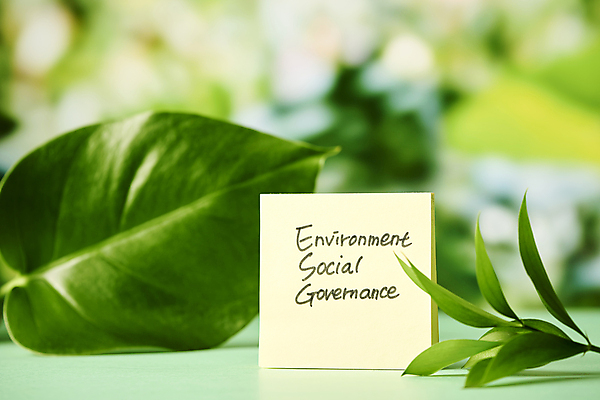 포토 JPG 스튜디오촬영 잎 회사 비즈니스 자연 실내 사람없음 아웃포커스 메모지 사회 친환경 ESG 국내포토 식물 촬영기법 내부 환경 사무용품 생태계 경영 공동체 파일형식