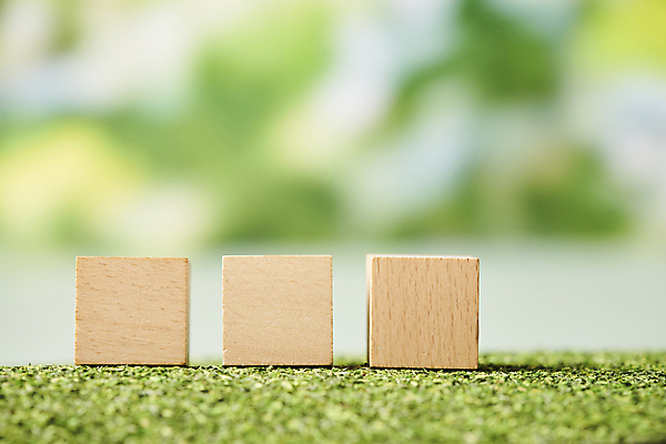 포토 JPG 스튜디오촬영 비즈니스 자연 실내 잔디 사람없음 아웃포커스 사회 친환경 나무블록 카피스페이스 ESG 국내포토 식물 촬영기법 내부 목재 환경 공백 블록 생태계 경영 공동체 파일형식