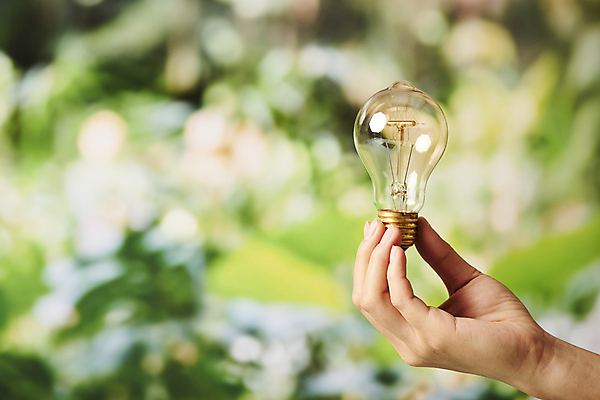 포토 JPG 스튜디오촬영 손 비즈니스 전구 자연 실내 들기 아웃포커스 신체부위 사회 친환경 ESG 국내포토 모션 촬영기법 사람 내부 환경 생태계 경영 공동체 파일형식