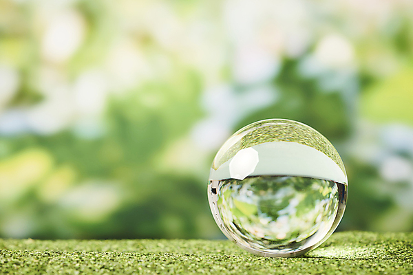 포토 JPG 스튜디오촬영 비즈니스 자연 실내 잔디 사람없음 아웃포커스 사회 친환경 유리구슬 ESG 국내포토 식물 유리 촬영기법 내부 환경 구슬 생태계 경영 공동체 파일형식