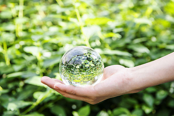 포토 JPG 주간 손 잎 비즈니스 자연 들기 야외 아웃포커스 신체부위 풀 투명 사회 친환경 유리구슬 ESG 국내포토 자연요소 식물 모션 유리 촬영기법 사람 환경 구슬 생태계 경영 공동체 파일형식