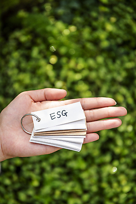 포토 JPG 주간 손 잎 비즈니스 자연 들기 야외 아웃포커스 신체부위 메모지 풀 사회 친환경 ESG 국내포토 자연요소 식물 모션 촬영기법 사람 환경 사무용품 생태계 경영 공동체 파일형식