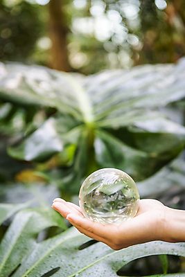 포토 JPG 주간 손 잎 비즈니스 자연 들기 야외 아웃포커스 신체부위 투명 사회 친환경 유리구슬 ESG 국내포토 자연요소 식물 모션 유리 촬영기법 사람 환경 구슬 생태계 경영 공동체 파일형식