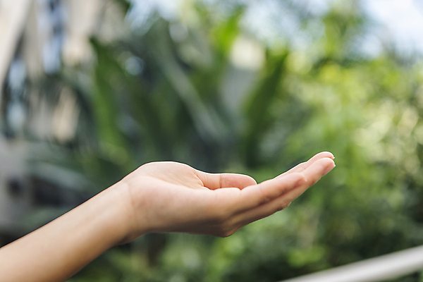 포토 JPG 주간 손 컨셉 잎 비즈니스 모션 자연 야외 아웃포커스 신체부위 손들기 사회 친환경 ESG 국내포토 자연요소 식물 촬영기법 사람 환경 생태계 경영 공동체 파일형식