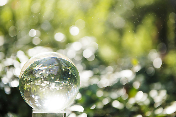 포토 JPG 주간 잎 비즈니스 자연 사람없음 야외 아웃포커스 풀 사회 친환경 유리구슬 ESG 국내포토 자연요소 식물 유리 촬영기법 환경 구슬 생태계 경영 공동체 파일형식