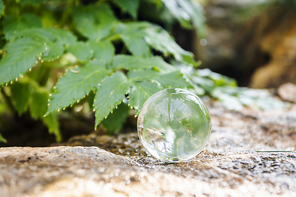 포토 JPG 주간 잎 비즈니스 자연 사람없음 야외 아웃포커스 바위 사회 친환경 유리구슬 ESG 국내포토 자연요소 식물 유리 촬영기법 환경 돌_바위 구슬 생태계 경영 공동체 파일형식