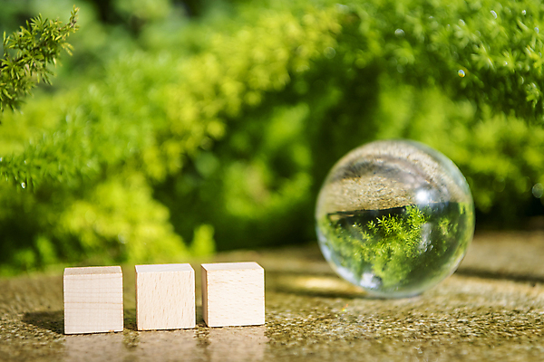 포토 JPG 주간 잎 비즈니스 자연 사람없음 야외 아웃포커스 사회 친환경 나무조각 유리구슬 나무블록 ESG 국내포토 자연요소 식물 유리 촬영기법 목재 환경 블록 구슬 생태계 경영 공동체 파일형식