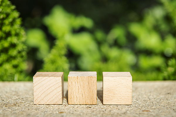 포토 JPG 주간 비즈니스 자연 근접촬영 사람없음 야외 아웃포커스 풀 사회 친환경 나무조각 나무블록 카피스페이스 ESG 국내포토 자연요소 식물 뷰포인트 촬영기법 목재 환경 공백 블록 생태계 경영 공동체 파일형식