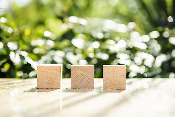 포토 JPG 주간 비즈니스 자연 사람없음 야외 아웃포커스 햇빛 풀 사회 친환경 나무조각 나무블록 카피스페이스 ESG 국내포토 자연요소 식물 촬영기법 목재 태양 환경 공백 블록 생태계 경영 공동체 파일형식