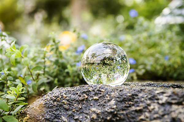 포토 JPG 주간 잎 비즈니스 자연 사람없음 야외 아웃포커스 바위 사회 친환경 유리구슬 ESG 국내포토 자연요소 식물 유리 촬영기법 환경 돌_바위 구슬 생태계 경영 공동체 파일형식