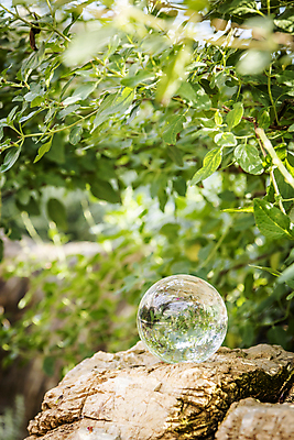 포토 JPG 주간 잎 비즈니스 자연 사람없음 야외 아웃포커스 바위 사회 친환경 유리구슬 ESG 국내포토 자연요소 식물 유리 촬영기법 환경 돌_바위 구슬 생태계 경영 공동체 파일형식