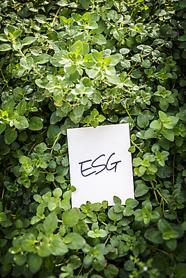 포토 JPG 주간 잎 비즈니스 자연 사람없음 야외 메모지 풀 사회 친환경 ESG 국내포토 자연요소 식물 환경 사무용품 생태계 경영 공동체 파일형식