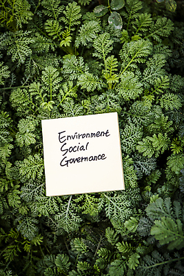 포토 JPG 주간 잎 비즈니스 자연 사람없음 야외 하이앵글 메모지 풀 사회 친환경 ESG 국내포토 자연요소 식물 뷰포인트 환경 사무용품 생태계 경영 공동체 파일형식