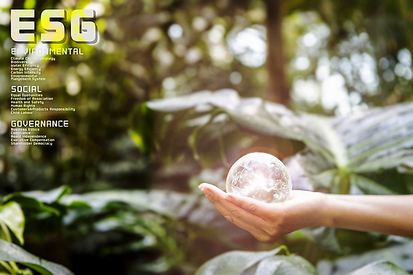 PSD 편집 편집이미지 손 지구 잎 들기 타이포그라피 신체부위 빛 3D 풀 투명 사회 디지털합성 친환경 유리구슬 편집소스 ESG 이미지편집 편집3D 식물 문자 모션 유리 사람 환경 구슬 경영 공동체 파일형식