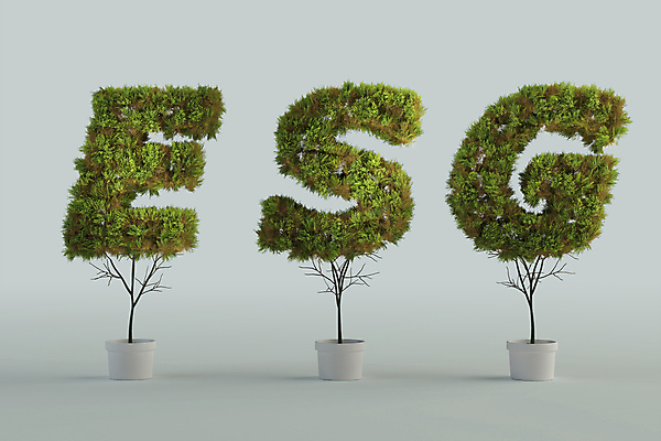 PSD 나무 편집 편집이미지 영어 화분 타이포그라피 사람없음 초록색 3D 환경 회색 사회 디지털합성 친환경 경영 편집소스 ESG 이미지편집 편집3D 식물 문자 컬러 비즈니스 공동체 파일형식
