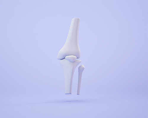 PSD 뼈 사람없음 3D아이콘 3D소스 3D 보라색 무릎 편집3D 아이콘 컬러 신체부위 디지털합성 파일형식