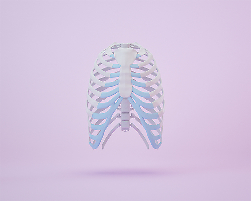 PSD 사람없음 3D아이콘 3D소스 3D 보라색 갈비뼈 가슴뼈 편집3D 아이콘 컬러 뼈 디지털합성 파일형식