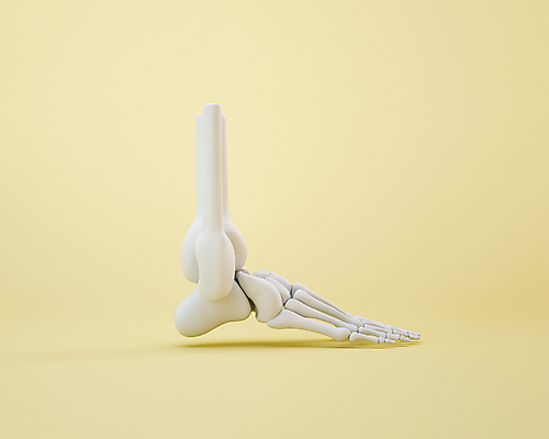 PSD 발 뼈 사람없음 3D아이콘 노란색 3D소스 3D 발가락뼈 발뼈 편집3D 아이콘 컬러 신체부위 디지털합성 파일형식