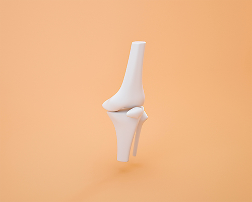 PSD 뼈 사람없음 3D아이콘 3D소스 3D 주황색 무릎 편집3D 아이콘 컬러 신체부위 디지털합성 파일형식