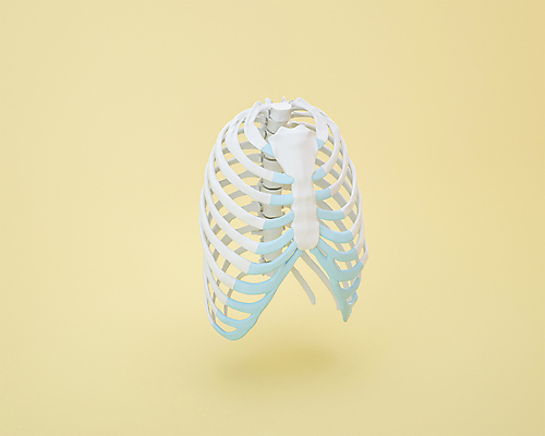 PSD 사람없음 3D아이콘 노란색 3D소스 3D 갈비뼈 가슴뼈 편집3D 아이콘 컬러 뼈 디지털합성 파일형식