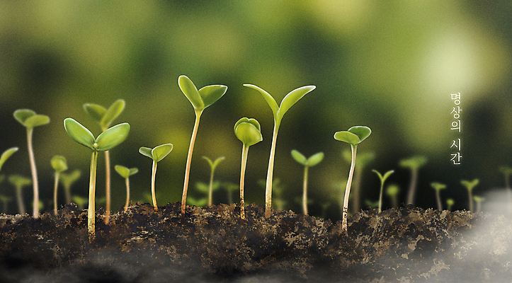 PSD 일러스트 자연 휴식 풍경 사람없음 초록색 새싹 희망 여러개 고요 흙 편안함 명상 국내일러스트 식물 감정 컬러 다수 컨셉 감각 생태계 파일형식