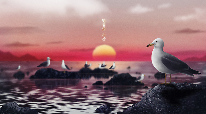 PSD 구름 바다 여러마리 일러스트 자연 갈매기 하늘 휴식 앉기 풍경 사람없음 태양 평화 일출 고요 바위 편안함 명상 국내일러스트 자연요소 다수 컨셉 모션 조류 노을 돌_바위 감각 생태계 파일형식
