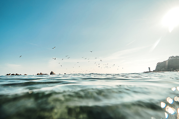 포토 JPG 주간 바다 섬 여러마리 갈매기 하늘 사람없음 야외 태양 강원도 해수면 국내포토 자연요소 다수 조류 한국 파일형식