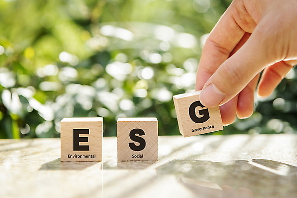 PSD 편집이미지 손 회사 자연 나뭇잎 그림자 타이포그라피 신체부위 초록색 햇빛 환경 잡기 사회 친환경 보케 경영 나무블록 ESG 이미지편집 문자 컬러 잎 비즈니스 모션 사람 목재 태양 블록 생태계 공동체 파일형식