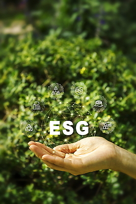 PSD 편집이미지 손 지구 선 자연 나뭇잎 타이포그라피 신체부위 초록색 점 연결 친환경 나무밑둥 경영 ESG 재활용표시 이미지편집 나무 문자 컬러 잎 비즈니스 표시 사람 환경 재활용 생태계 파일형식