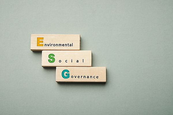 PSD 편집이미지 회사 타이포그라피 사람없음 환경 회색 사회 친환경 경영 나무블록 ESG 이미지편집 문자 컬러 비즈니스 목재 블록 공동체 파일형식