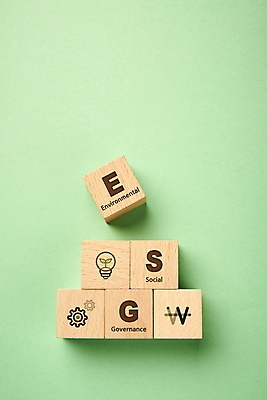 PSD 편집이미지 회사 전구 타이포그라피 사람없음 환경 원화 사회 톱니바퀴 친환경 경영 민트색 나무블록 ESG 이미지편집 문자 컬러 돈 비즈니스 목재 블록 공동체 파일형식