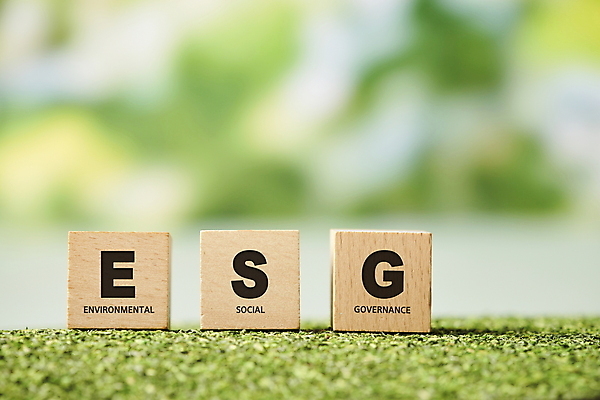 PSD 편집이미지 회사 자연 잔디 타이포그라피 사람없음 아웃포커스 초록색 환경 사회 친환경 경영 나무블록 ESG 이미지편집 식물 문자 컬러 비즈니스 촬영기법 목재 블록 생태계 공동체 파일형식