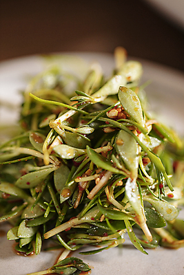 포토 JPG 접시 반찬 실내 근접촬영 사람없음 아웃포커스 나물 점심식사 나물무침 국내포토 식기 음식 뷰포인트 채소 촬영기법 내부 식사 무침 파일형식