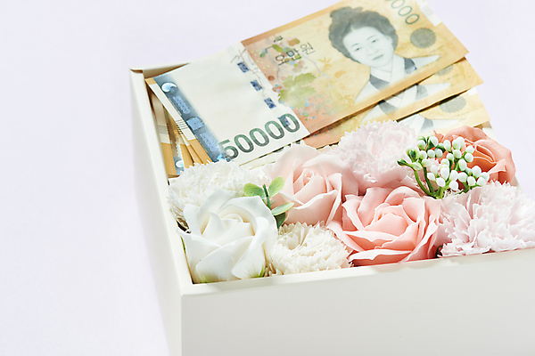 포토 JPG 스튜디오촬영 기념일 지폐 실내 선물 근접촬영 사람없음 선물상자 장미 카네이션 오브젝트 흰배경 감사 5월행사 가정의달 오만원 돈상자 국내포토 꽃 감정 뷰포인트 백그라운드 돈 이벤트 내부 상자 흰색 5월 파일형식