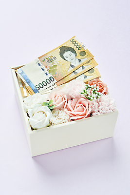 포토 JPG 스튜디오촬영 기념일 지폐 실내 선물 사람없음 선물상자 장미 카네이션 오브젝트 담기 감사 5월행사 가정의달 오만원 돈상자 보라색배경 국내포토 꽃 감정 백그라운드 돈 모션 이벤트 내부 상자 보라색 5월 파일형식