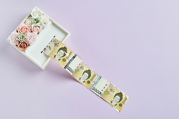 포토 JPG 스튜디오촬영 기념일 지폐 실내 선물 사람없음 선물상자 하이앵글 장미 카네이션 오브젝트 감사 5월행사 가정의달 오만원 꺼내기 돈상자 보라색배경 나오기 국내포토 꽃 감정 뷰포인트 백그라운드 돈 모션 이벤트 내부 상자 보라색 5월 파일형식