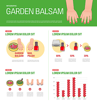 그릇 손 꽃 일러스트 그래프 신체부위 연두색 인포그래픽 매니큐어 과정 봉숭아 젤네일램프 젤네일 봉숭아물 물들이기 국내일러스트 AI파일 식물 식기 컨셉 사람 초록색 화장품 네일아트 파일형식 벡터