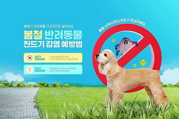 PSD 구름 편집이미지 한마리 반려견 하늘 서기 잔디 초원 타이포그라피 사람없음 반려동물 건강관리 봄 산책 산책로 금지 코커스패니얼 강아지 진드기 감염예방 이미지편집 자연요소 식물 동물 문자 1 계절 길 모션 휴식 건강 관리 스패니얼 개 해충 사회이슈 예방 감염 파일형식