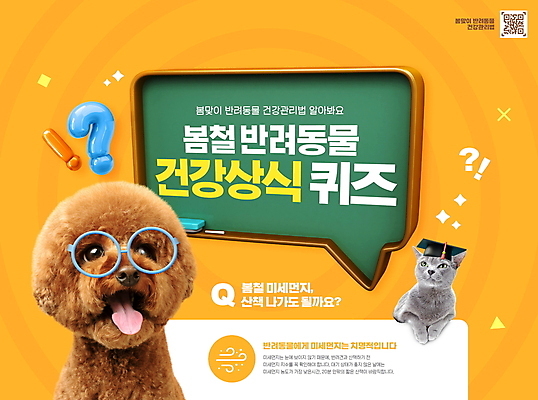 PSD 편집이미지 반려견 말풍선 두마리 학사모 타이포그라피 사람없음 반려동물 노란색 건강관리 고양이 칠판 봄 물음표 퀴즈 강아지 느낌표 러시안블루 QR코드 상식 안경낌 반려묘 스탠다드푸들 이미지편집 동물 문자 모자_잡화 기호 계절 안경 컬러 2 졸업 포유류 건강 관리 개 푸들 파일형식