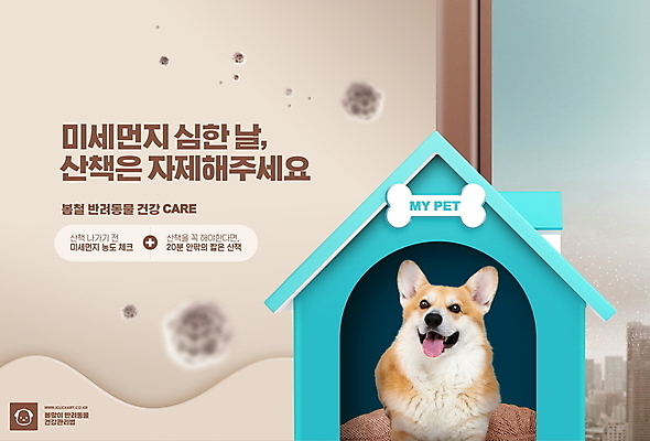 PSD 편집이미지 한마리 반려견 창문 실내 타이포그라피 사람없음 반려동물 건강관리 봄 강아지 먼지 개집 베이지색 웰시코기 미세먼지 이미지편집 동물 문자 1 계절 컬러 건강 관리 내부 개 애견용품 파일형식