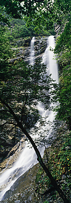 포토 JPG 주간 나무 로우앵글 자연 풍경 사람없음 야외 폭포 바위 숲속 장노출 춘천 물흐름 국내포토 자연요소 식물 뷰포인트 촬영기법 흐름 돌_바위 숲 생태계 강원도 파일형식