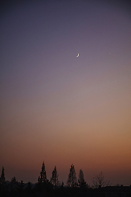 포토 JPG 나무 실루엣 밤하늘 풍경 사람없음 야외 보라색 주황색 고요 일몰 야간 초승달 감성 그라데이션 일산 국내포토 자연요소 식물 컬러 컨셉 하늘 촬영기법 노을 달 경기도 파일형식